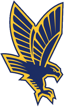 Marquette Golden Eagles 1994-2004 Secondary Logo t shirts iron on transfers